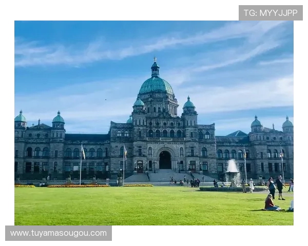 维多利亚国际：深度剖析其在商务旅行中的重要地位