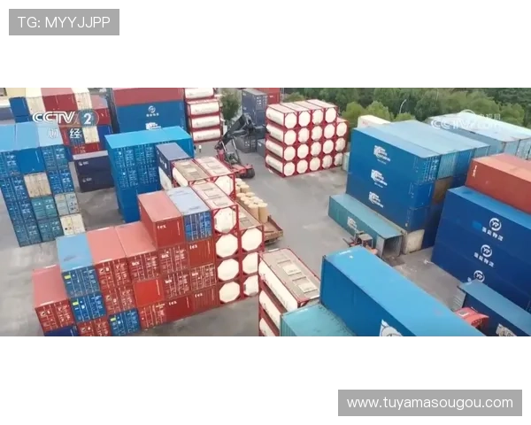 新濠国际发展官网：探索企业文化与未来发展规划的详细介绍