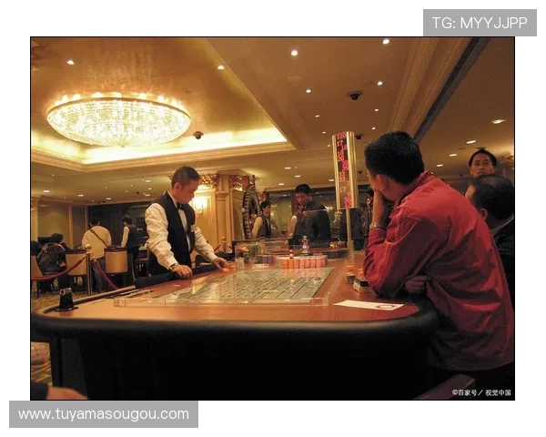 澳门一共有几个赌厅，分析未来澳门赌厅扩展的可能趋势