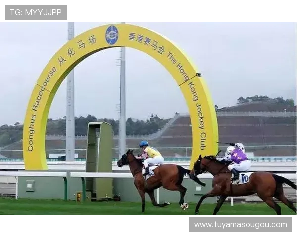 hkjc网娱乐：香港赛马会在线娱乐平台的安全保障措施与用户隐私保护指南