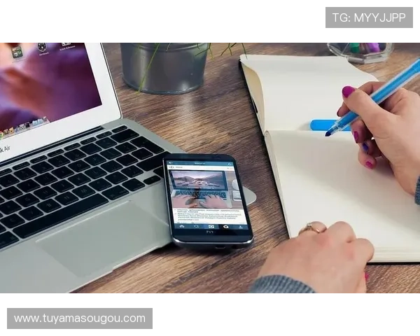 悦凯娱乐企业查最新版本更新内容，提升企业信息查询的效率与准确性