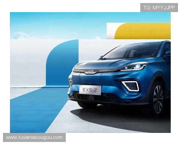 新濠集团在全球扩展战略中的关键布局，探索其国际化发展路径与未来潜力