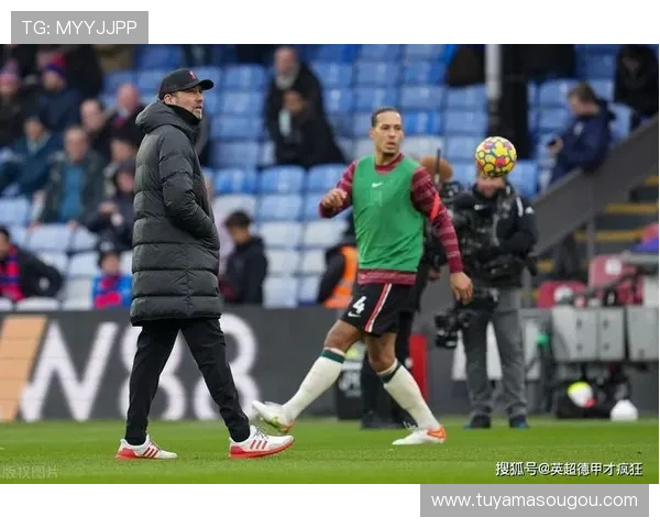 水晶宫队官网为球迷提供的互动社区与粉丝交流平台