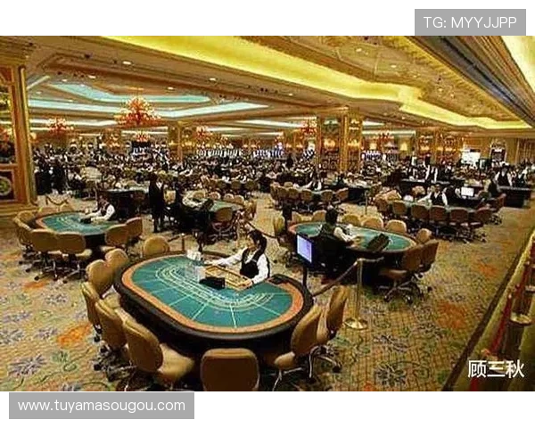 深入了解澳门十大娱乐场所，体验豪华赌场、精彩演出和丰富娱乐项目的最佳选择